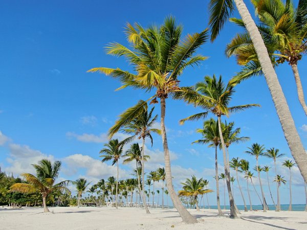 Méribel centre : top agences immobilières pour réussir votre achat