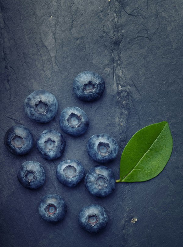 Guide des vins végétaliens des vignobles de Bordeaux